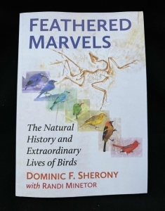 Primary image for the Feathered Marvels Book Auction Item