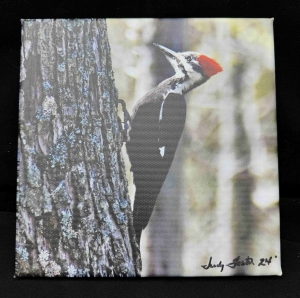 Primary image for the Canvas Pileated Woodpecker Portrait Auction Item