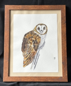 Primary image for the Framed Barn Owl in Watercolor Auction Item