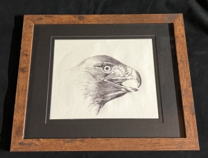 Primary image for the Framed Golden Eagle Drawing Auction Item