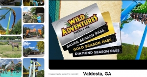 Primary image for the WILD ADVENTURES AMUSEMENT PARK Auction Item