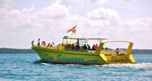 Primary image for the Sea Screamer PCB - 2 Tickets For The AM Dolphin Cruise. Value $58 Auction Item