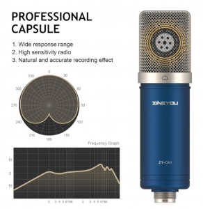 Secondary image for the Professional Microphone For Recording, Streaming, Home Studio, YouTube, Voice Over, Vocals, Gaming Auction Item
