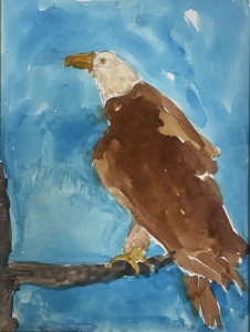 Primary image for the Bald Eagle Auction Item