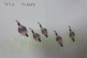 Primary image for the Wild Turkey Auction Item