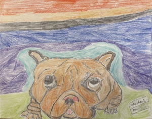 Primary image for the Bulldog Auction Item