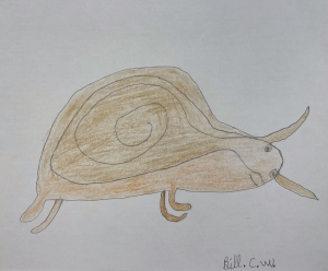 Primary image for the Snuggles the Snail Auction Item
