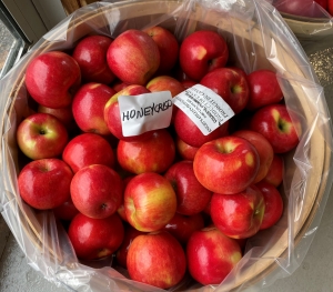 Primary image for the A Bushel of Farm Fresh Apples Auction Item