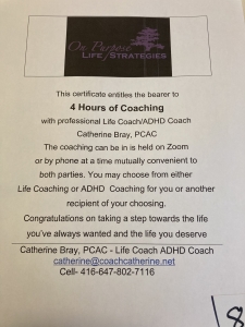 Primary image for the 4 Sessions of ADHD or Life Coaching - Calm the Chaos and Live Your Life On Purpose Auction Item