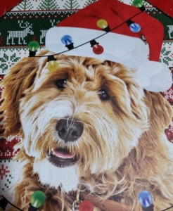 Primary image for the Holiday Time LED DOODLE DOG Art Auction Item