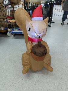 Primary image for the Item 17 - Squirrel Yard Inflatable Auction Item