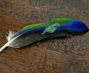 Primary image for the Hand Painted Feather Art  -Parrot Auction Item