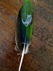 Primary image for the Hand Painted Feather Art  -Elephant Auction Item