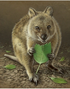 Primary image for the ORIGINAL  QUOKKA PAINTING BY PATRON FUZ CAFORIO Auction Item