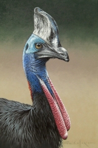 Primary image for the ORIGINAL  CASSOWARY PAINTING BY PATRON FUZ CAFORIO Auction Item