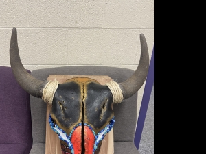 Primary image for the Painted Buffalo Skull Auction Item