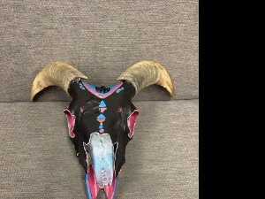 Primary image for the Black & Pink Horned Sheep Skull Auction Item